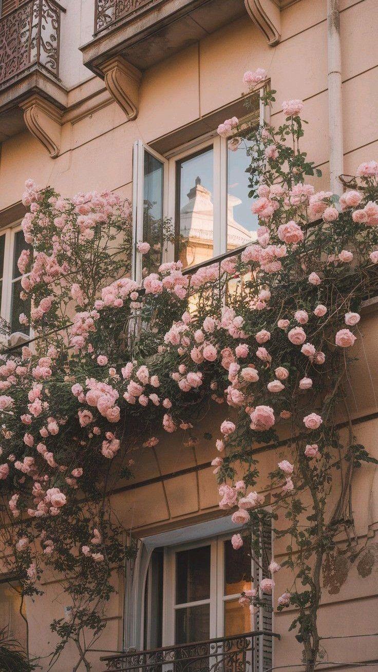 Celestial Charm: Star-Kissed Blossom Array